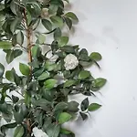 Un\'Angolo Incantato